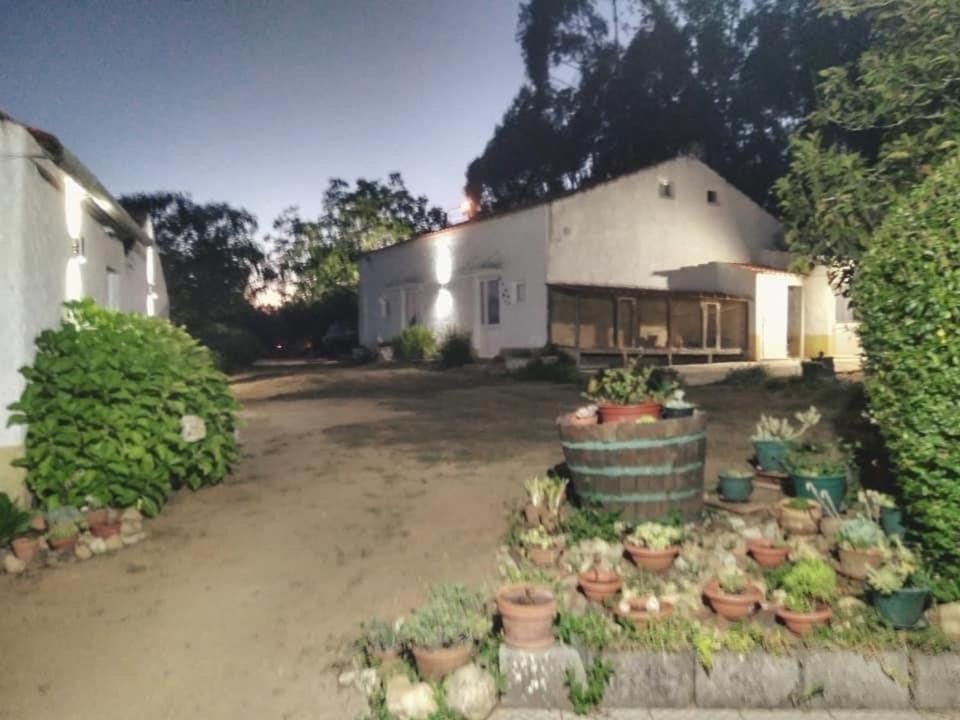 Quinta Da Mesa Villa Macinhata do Vouga Ngoại thất bức ảnh