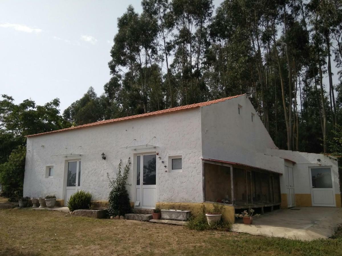 Quinta Da Mesa Villa Macinhata do Vouga Ngoại thất bức ảnh
